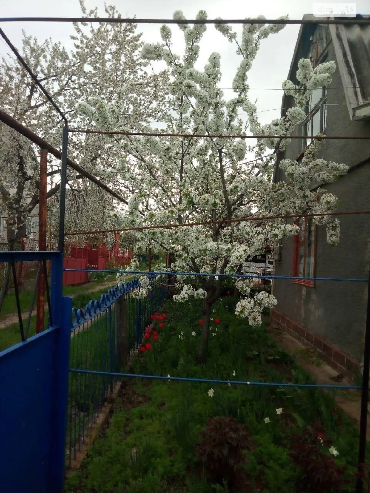 вулиця Садова Доброалександровка, цена: 7000 $ - фото 1