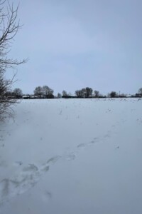 Продажа участка под жилую застройку, Винницкая, Зарванцы, Цветочная улица