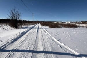Продажа земли сельскохозяйственного назначения, Винницкая, Прибужское (Шкуринци)