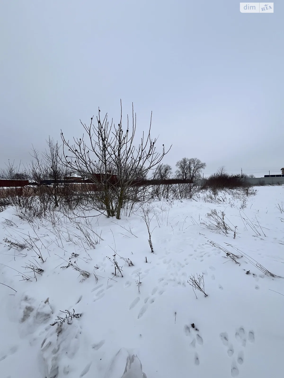 Продается земельный участок 10 соток в Хмельницкой области, цена: 22000 $ - фото 1