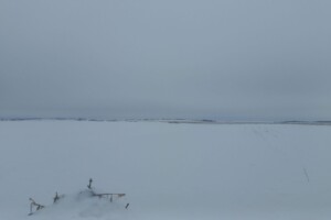 Аренда участков