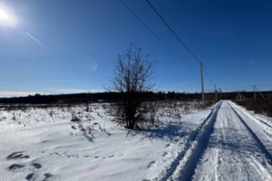 Продажа земли сельскохозяйственного назначения, Винницкая, Прибужское (Шкуринци)