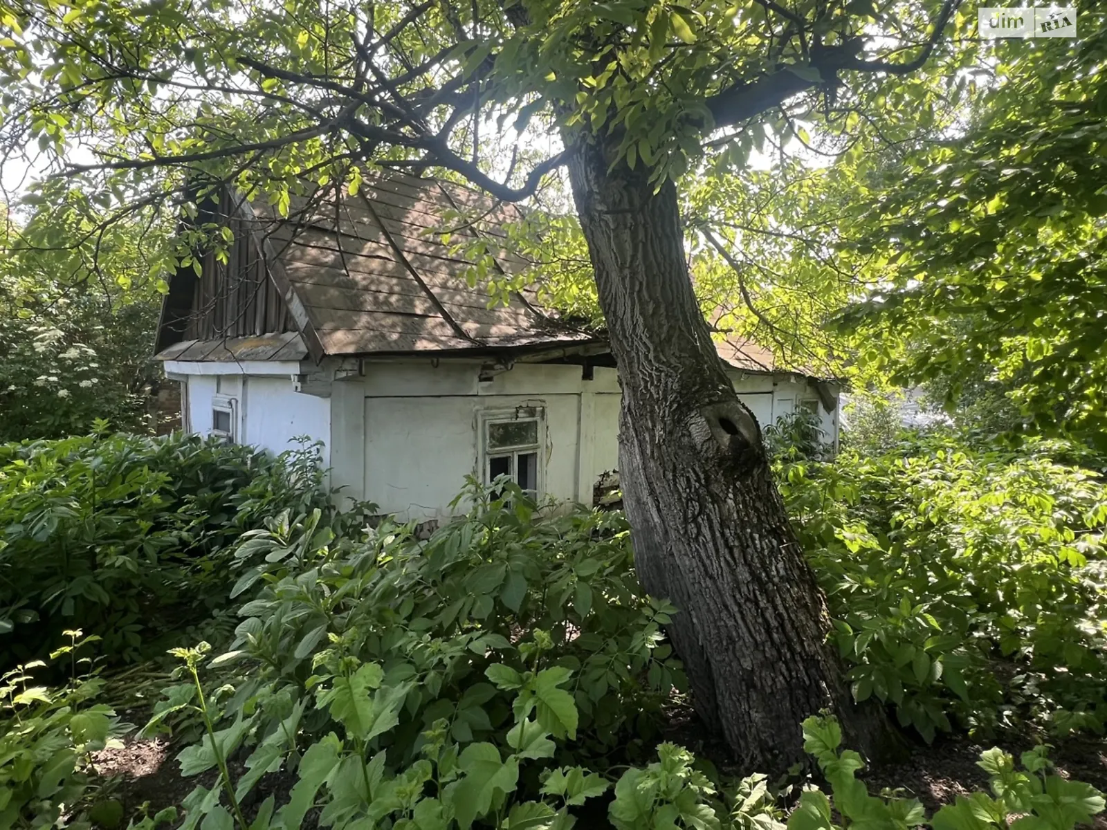 Продается земельный участок 8.8 соток в Ровенской области, цена: 7500 $ - фото 1