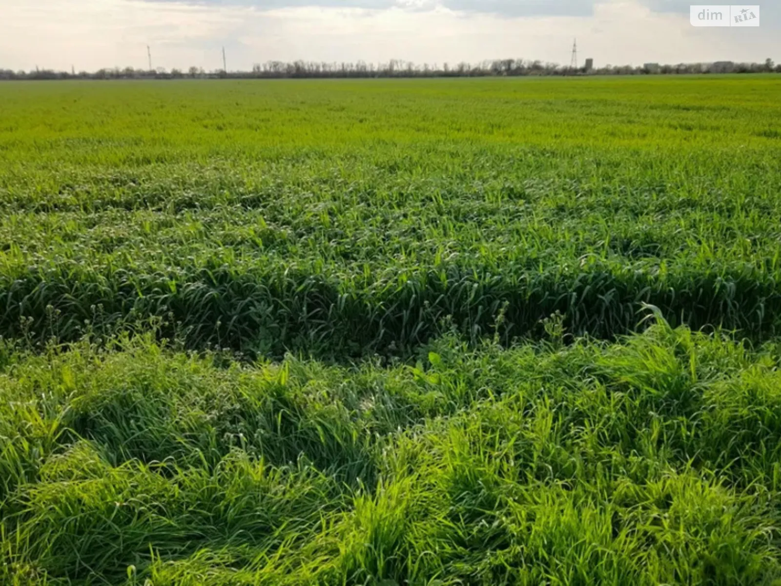 Продается земельный участок 50 соток в Николаевской области, цена: 2200 $ - фото 1