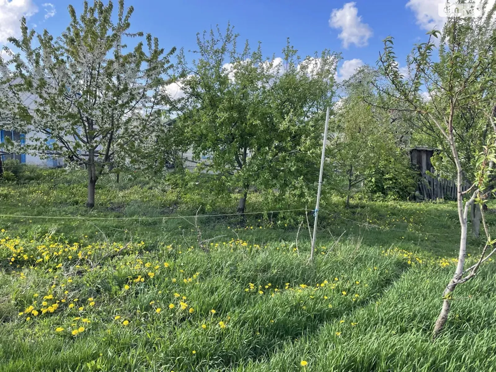 Продается земельный участок 10 соток в Николаевской области, цена: 3000 $ - фото 1