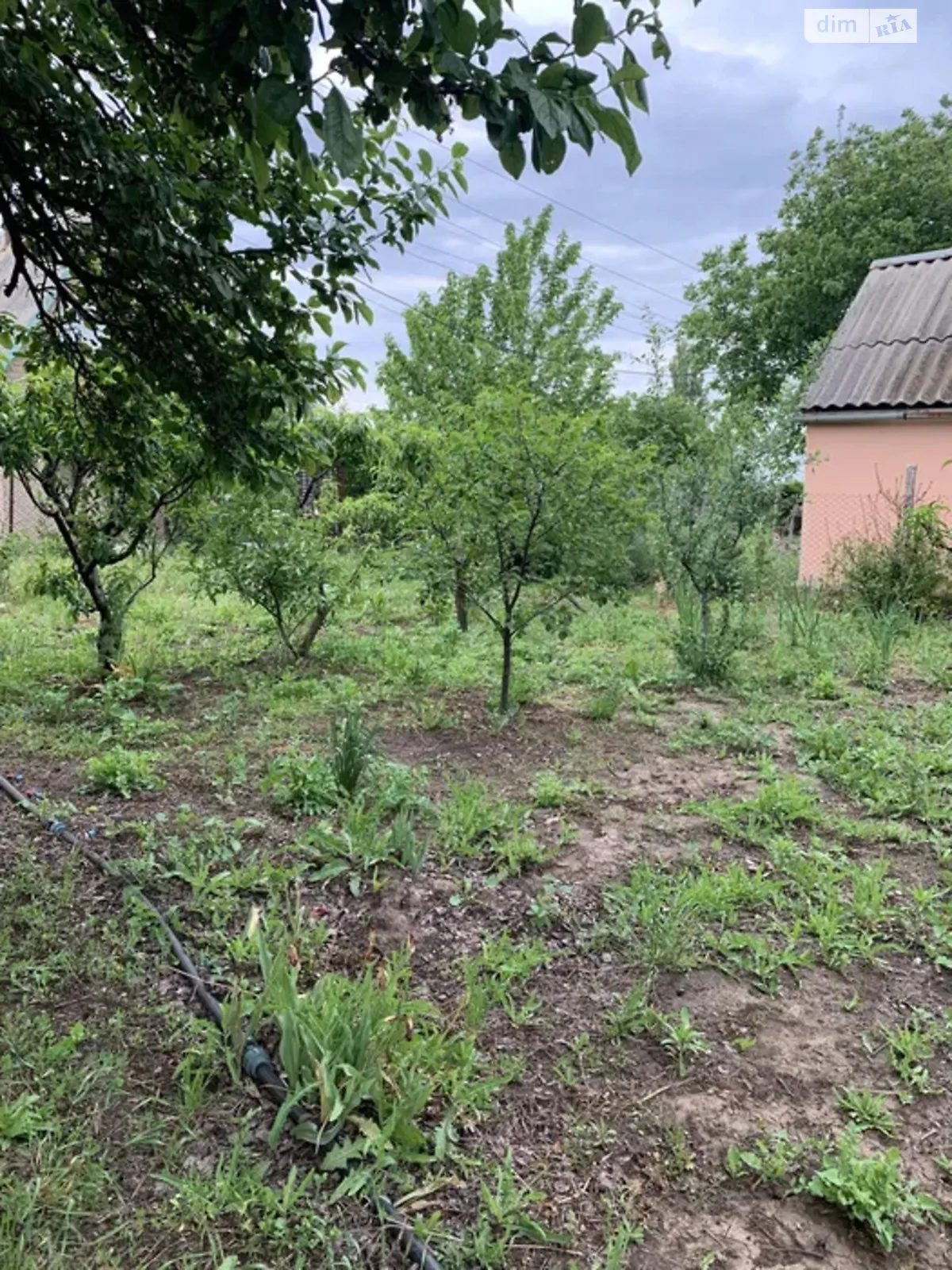 Продается земельный участок 6 соток в Николаевской области, цена: 2050 $ - фото 1