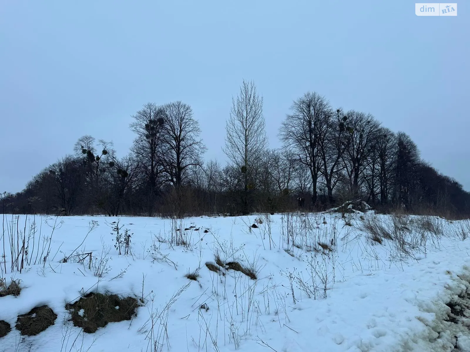 Болозів, цена: 46647 грн - фото 1