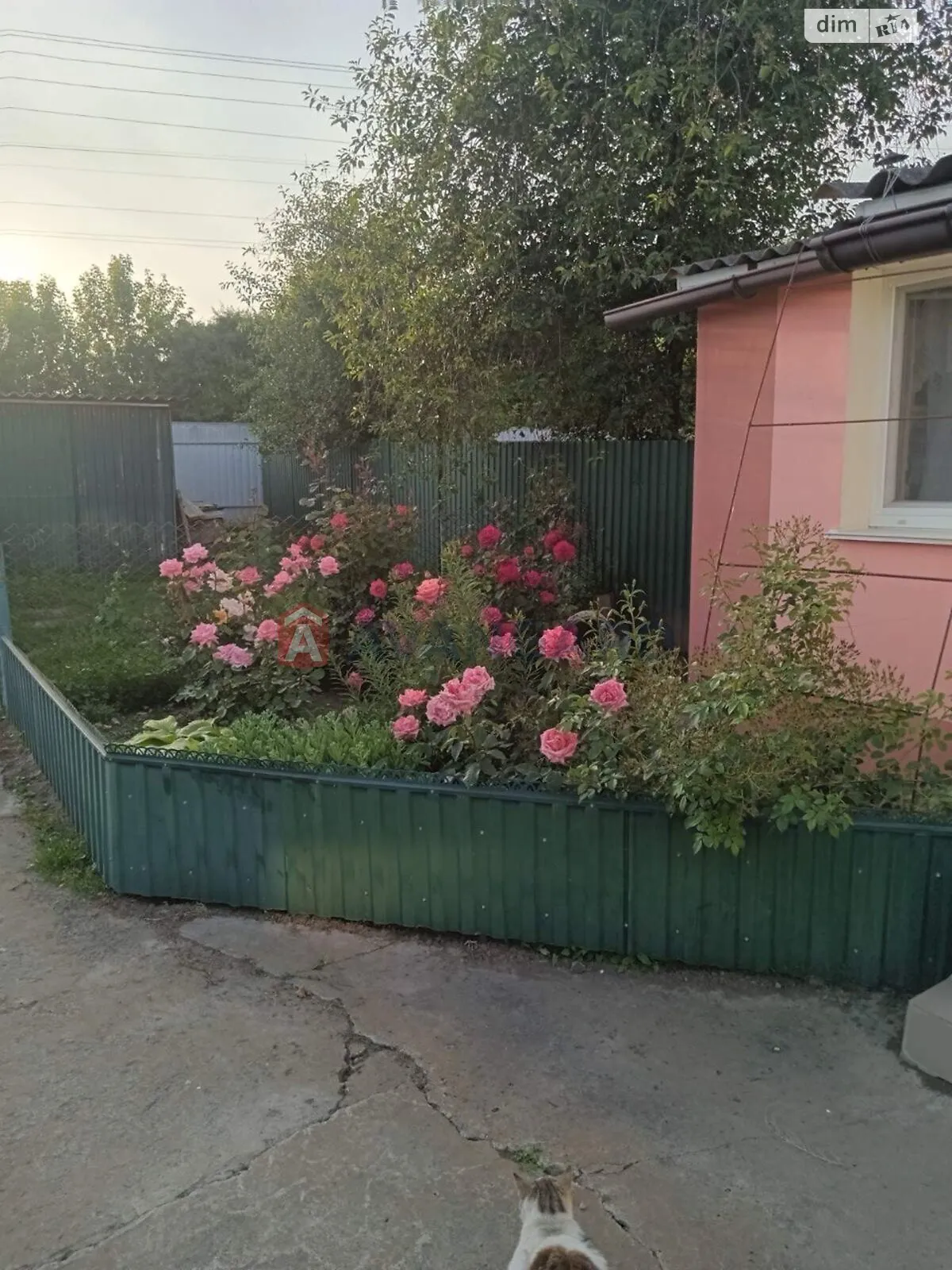 Продается одноэтажный дом 65 кв. м с бассейном, цена: 42000 $ - фото 1