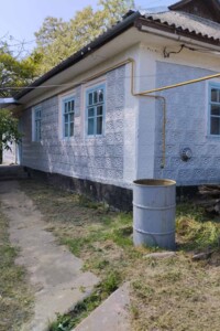 Продажа дома, Винницкая, Перепеличье, вулиця Пушкіна