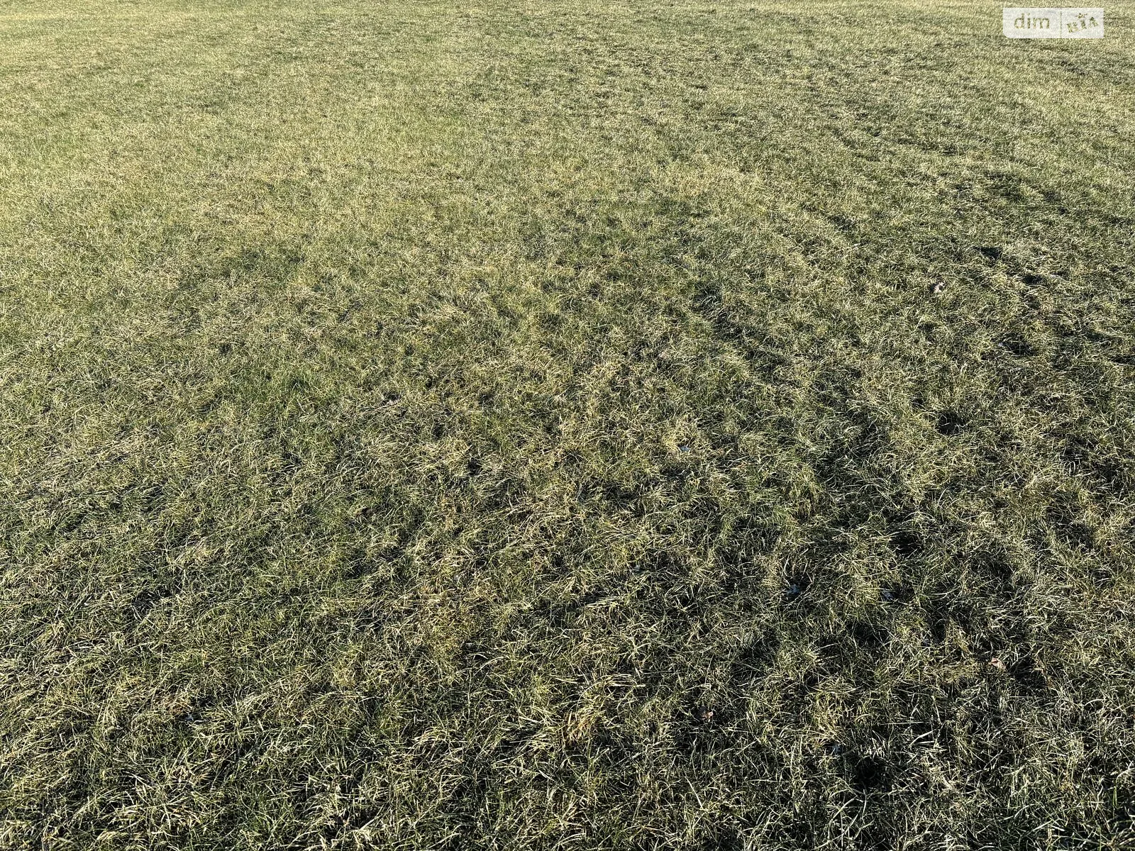 Сдается в аренду земельный участок 18 соток в Днепропетровской области, цена: 65047 грн - фото 1