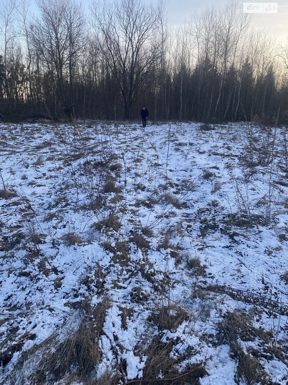 Продается земельный участок 8.38 соток в Житомирской области, цена: 5000 $ - фото 1