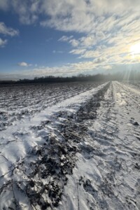 Продажа участка под жилую застройку, Винница, р‑н. Тяжилов, Восточная улица