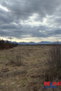 Продажа участка под жилую застройку, Закарпатская, Буштына