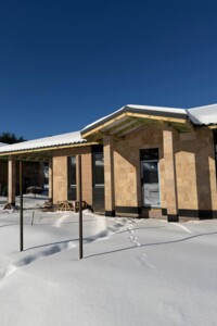 Продаж будинку, Київська, Блиставиця, Соборна (Петровського) вулиця, буд. 47