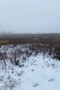 Продаж землі сільськогосподарського призначення, Вінницька, Агрономічне