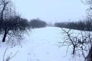 Продажа земли сельскохозяйственного назначения, Хмельницкая, Давыдковцы, Тихая улица