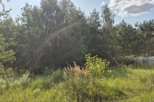 Продаж ділянки під житлову забудову, Київська, Музичі