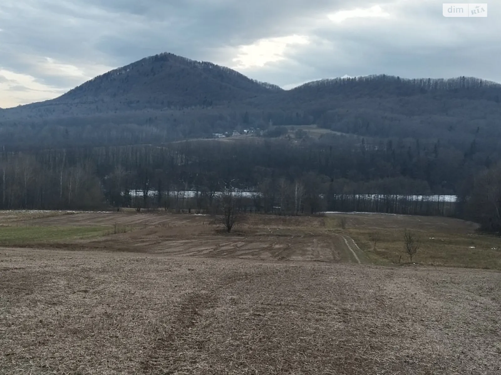 Продается земельный участок 35 соток в Черновицкой области, цена: 27000 $ - фото 1