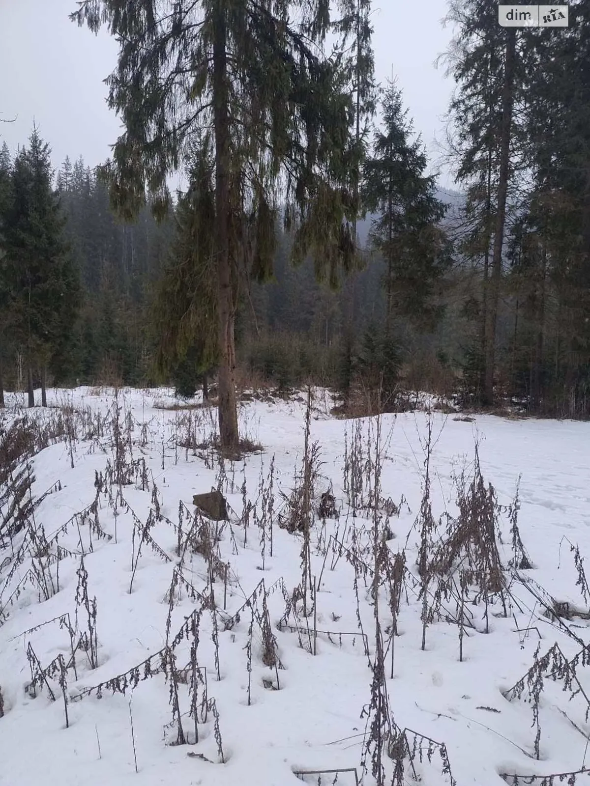 Поляниця, цена: 2500000 $ - фото 1