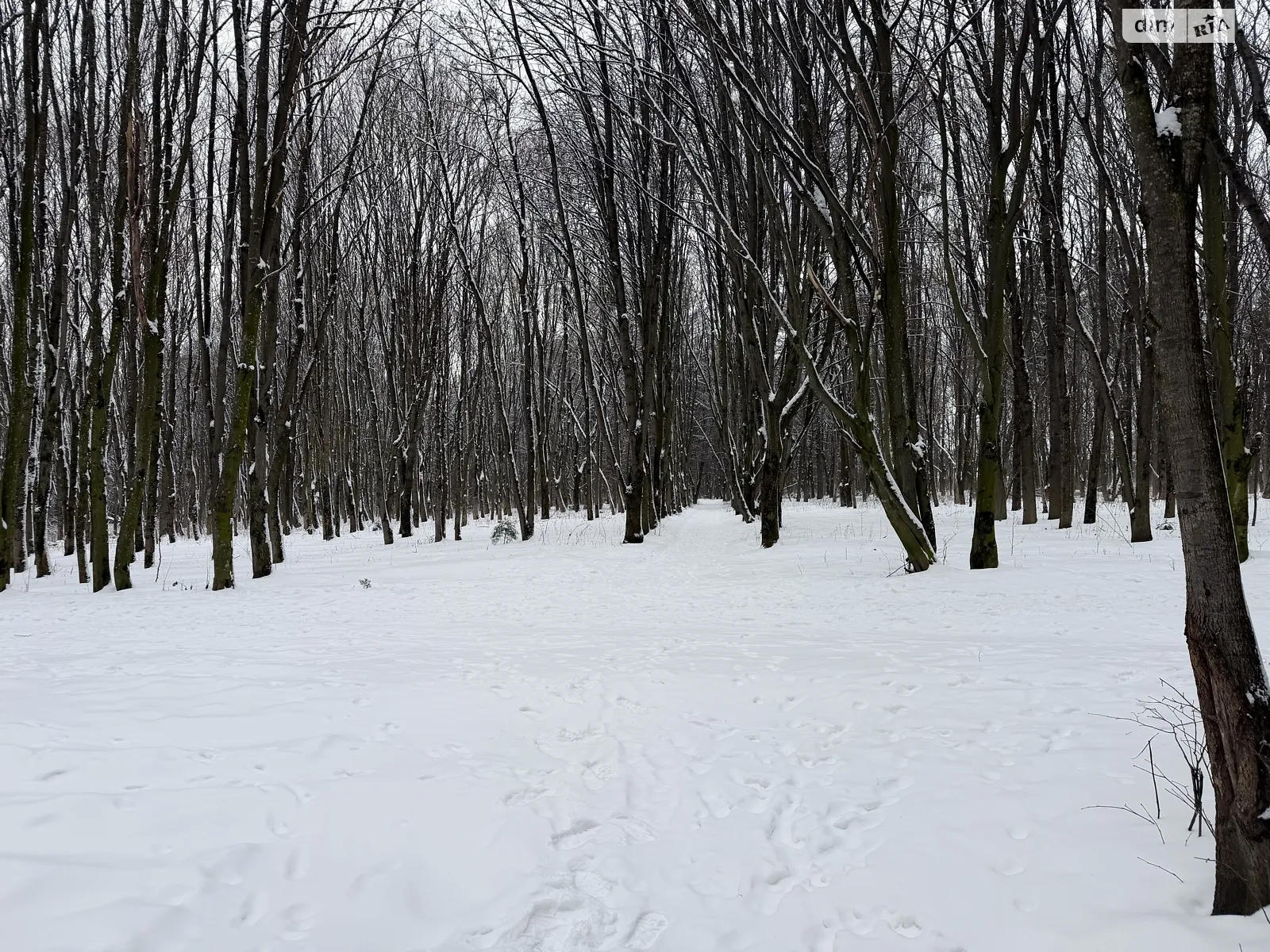 Продається земельна ділянка 20 соток у Хмельницькій області, цена: 230000 $ - фото 1