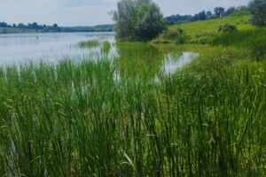 Продаж ділянки під житлову забудову, Вінницька, Ксаверівка, Прибережна вулиця