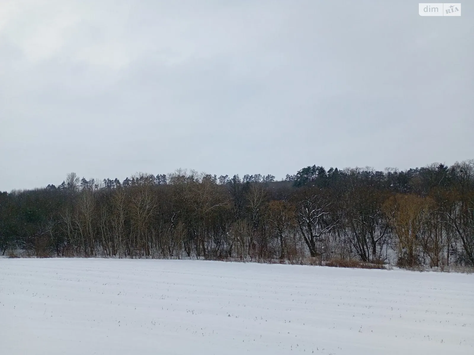 Здається в оренду земельна ділянка 11.5 соток у Хмельницькій області, цена: 117786 грн - фото 1