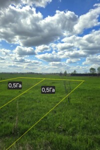 Продажа земли сельскохозяйственного назначения, Киевская, Михайловка-Рубежовка (Ирпень)