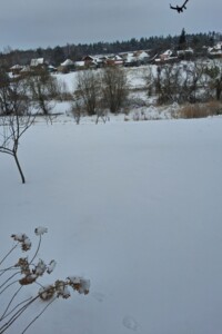 Куплю дом Сумской области