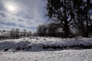 Продажа участка под жилую застройку, Винницкая, Комаров