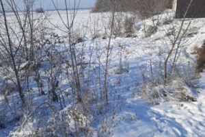 Аренда участков