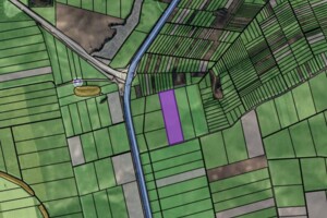 Продаж землі сільськогосподарського призначення, Рівненська, Малий Житин