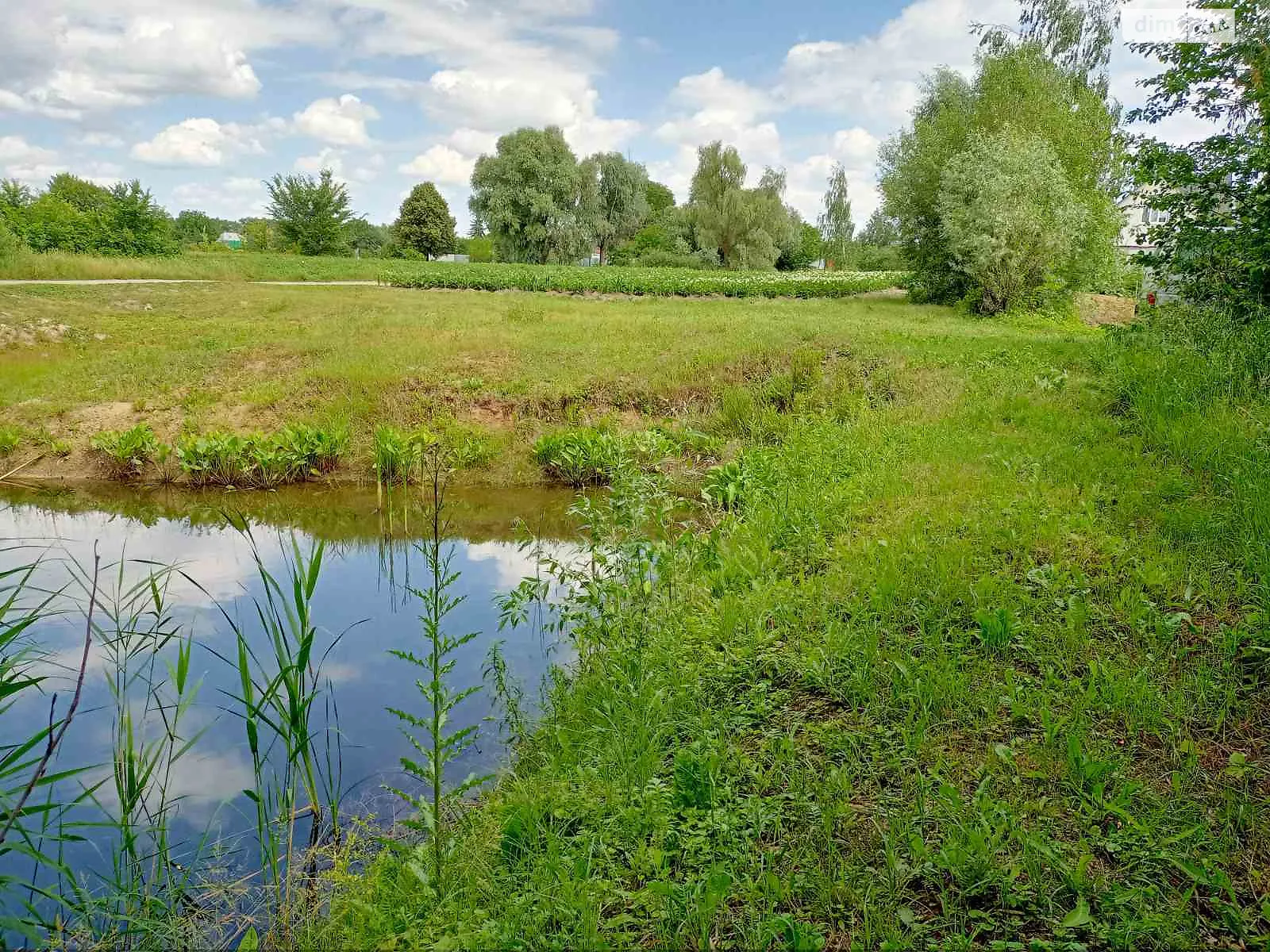 Продается земельный участок 20 соток в Киевской области, цена: 15600 $ - фото 1