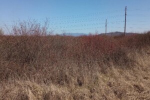 Продажа земли сельскохозяйственного назначения, Закарпатская, Шенборн