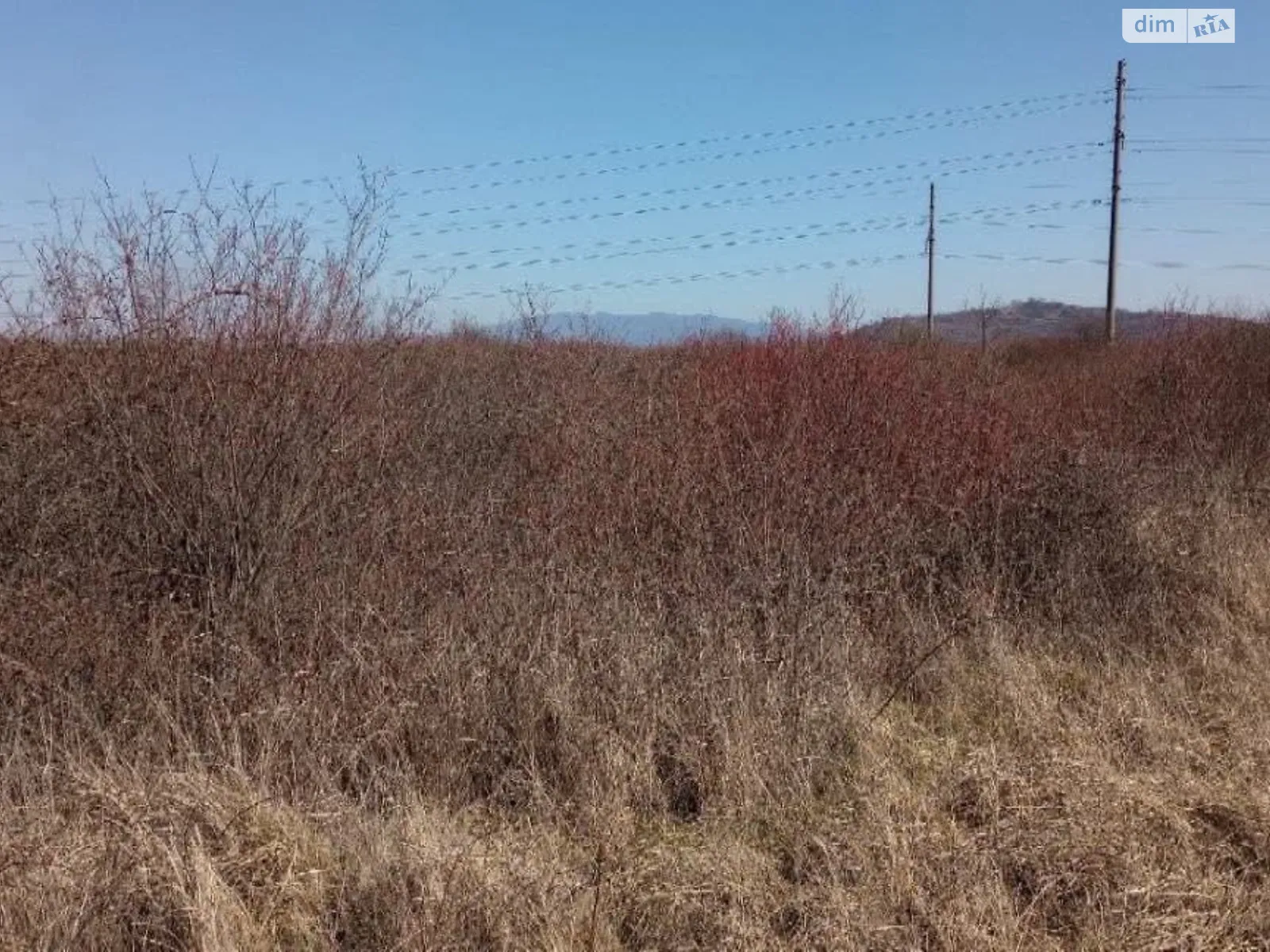 Продается земельный участок 184.36 соток в Закарпатской области, цена: 110000 $ - фото 1