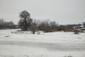 Продажа земли сельскохозяйственного назначения, Винницкая, Нижняя Кропивна, вулиця Тимчика