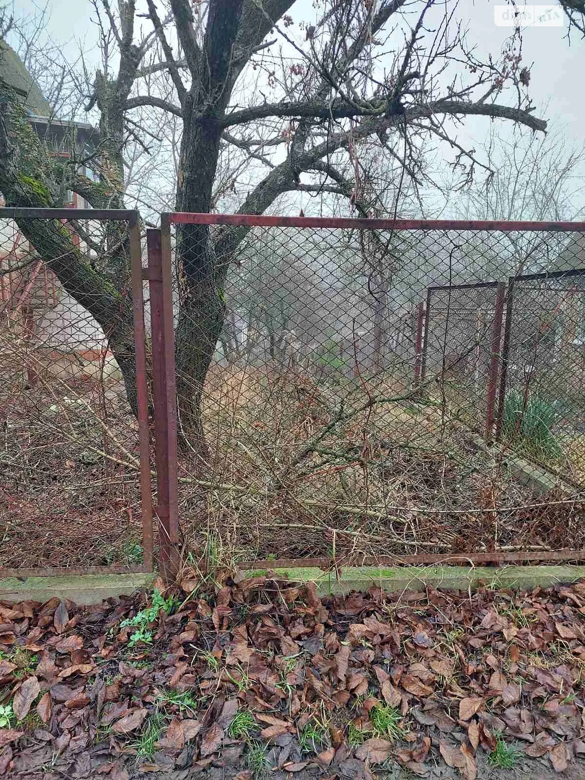 Продается земельный участок 4.34 соток в Винницкой области, цена: 25000 $ - фото 1