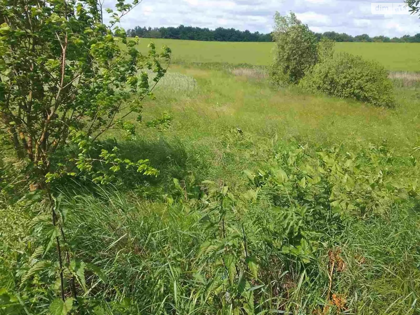 Сдается в аренду земельный участок 4 соток в Винницкой области, цена: 15699 грн - фото 1