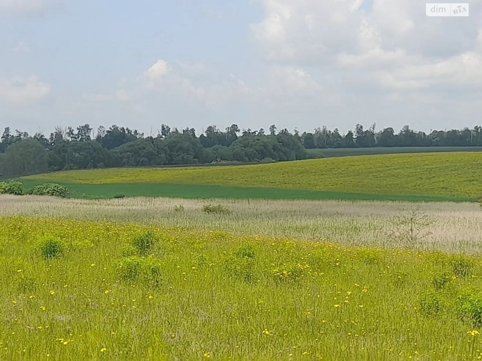 Сдается в аренду земельный участок 1.606 соток в Винницкой области, цена: 3366 грн - фото 1
