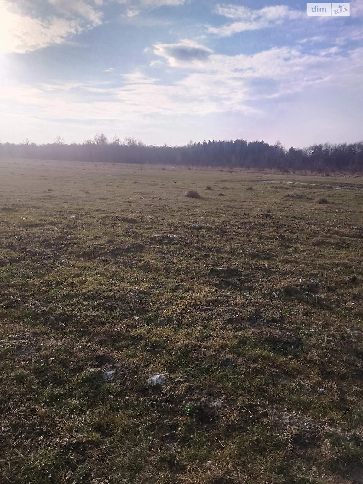 Сильное (Киверцы), цена: 29500 грн - фото 1