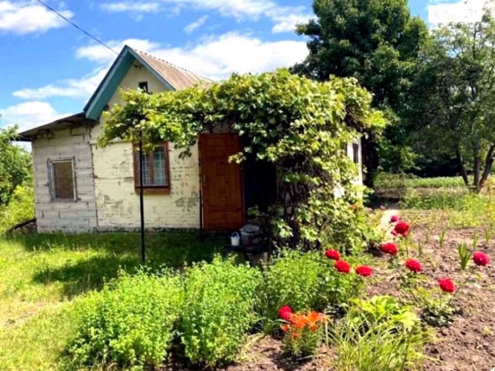 Продается земельный участок 12 соток в Хмельницкой области, цена: 18500 $ - фото 1