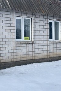 Продаж будинку, Вінницька, Черепашинці, Гагаріна вулиця, буд. 13