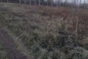 Продажа участка под жилую застройку, Полтавская, Пасковка, вулиця Шевченка