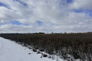 Продажа участка под жилую застройку, Винницкая, Медвежье Ушко