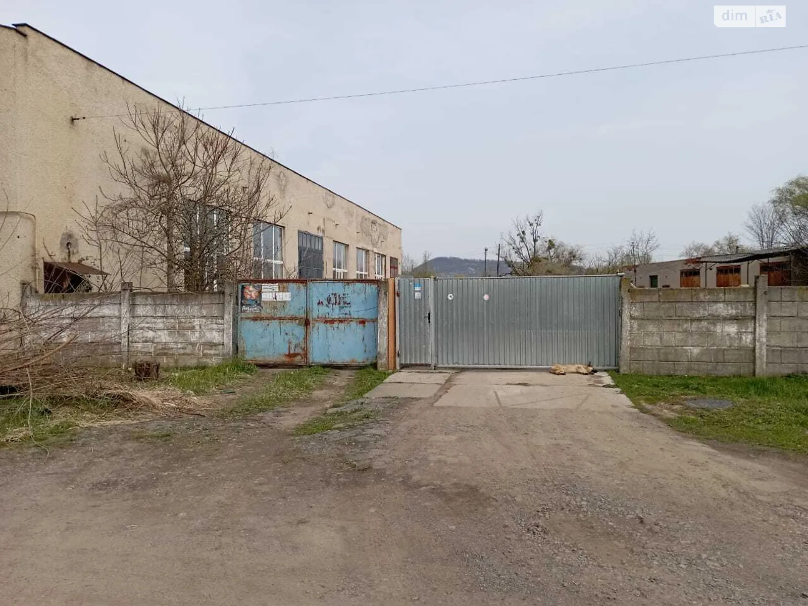 Продается земельный участок 396.13 соток в Закарпатской области, цена: 500000 $ - фото 1