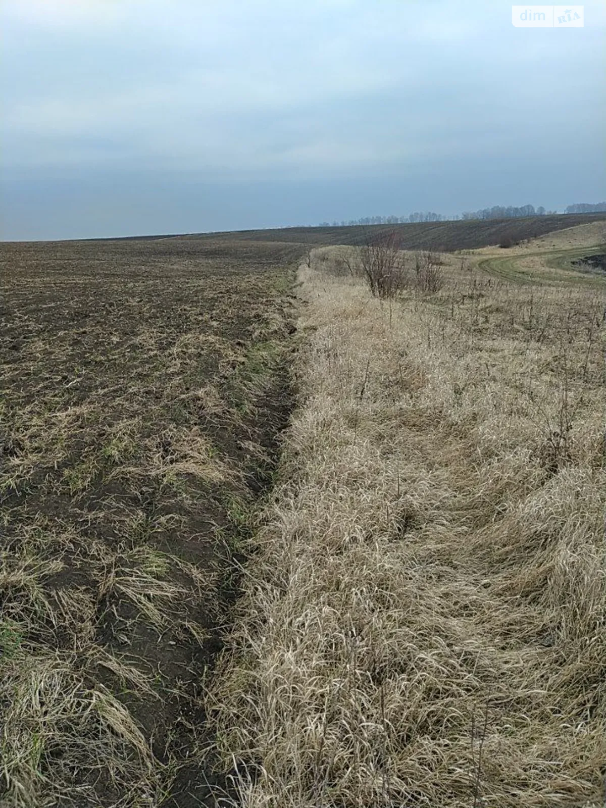 Сдается в аренду земельный участок 4.5 соток в Винницкой области, цена: 12837 грн - фото 1