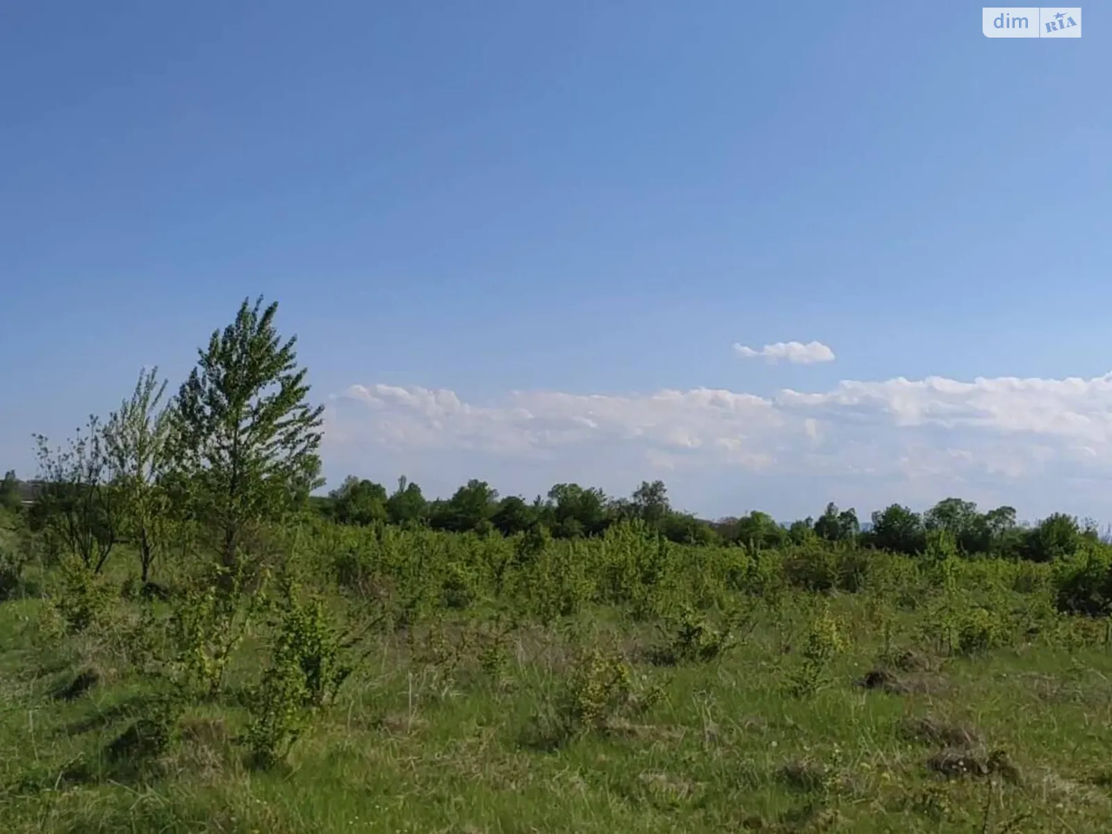 Продается земельный участок 1.7413 соток в Черновицкой области, цена: 15000 $ - фото 1