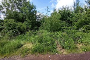 Продажа участка под жилую застройку, Закарпатская, Оноковцы