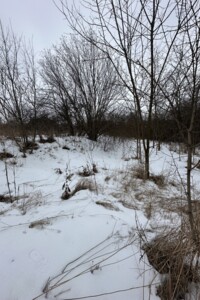 Продаж землі сільськогосподарського призначення, Вінницька, Бохоники, Івана Богуна вулиця