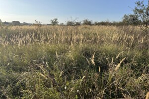 Продаж землі сільськогосподарського призначення, Тернопільська, Підгородне