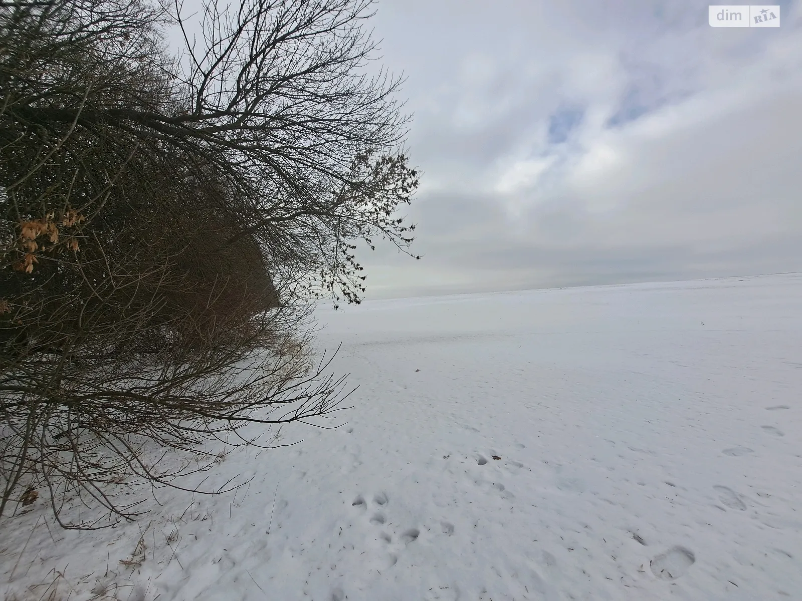 Продается земельный участок 2 соток в Винницкой области, цена: 256000 $ - фото 1